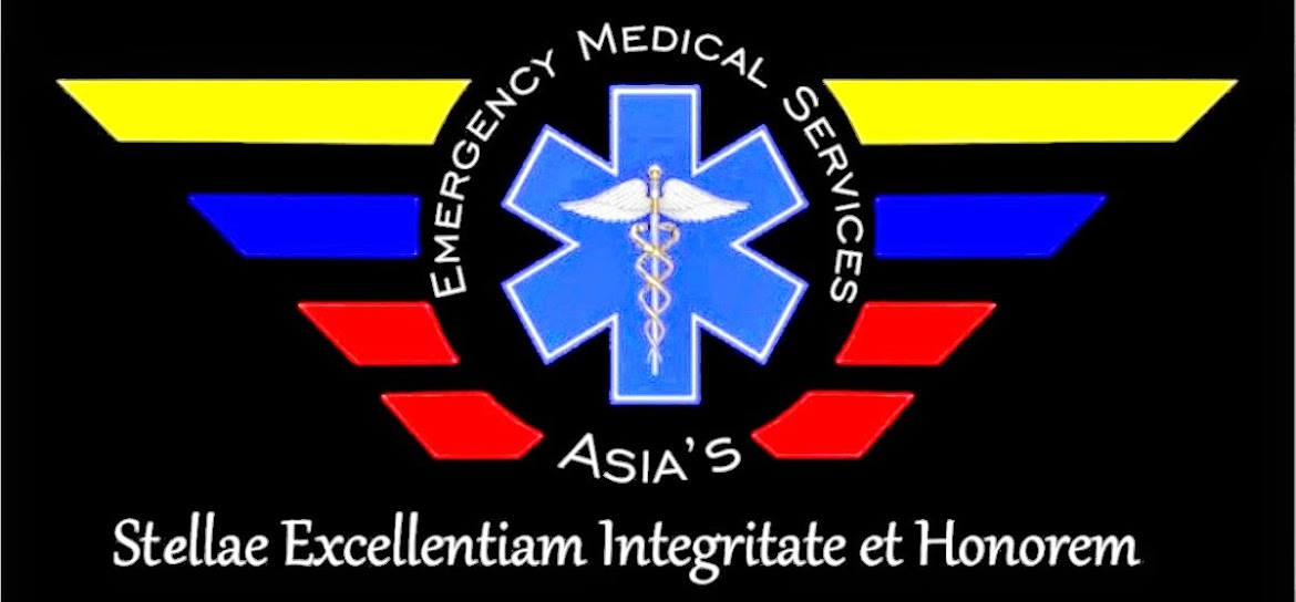 Asia's EMS Institute