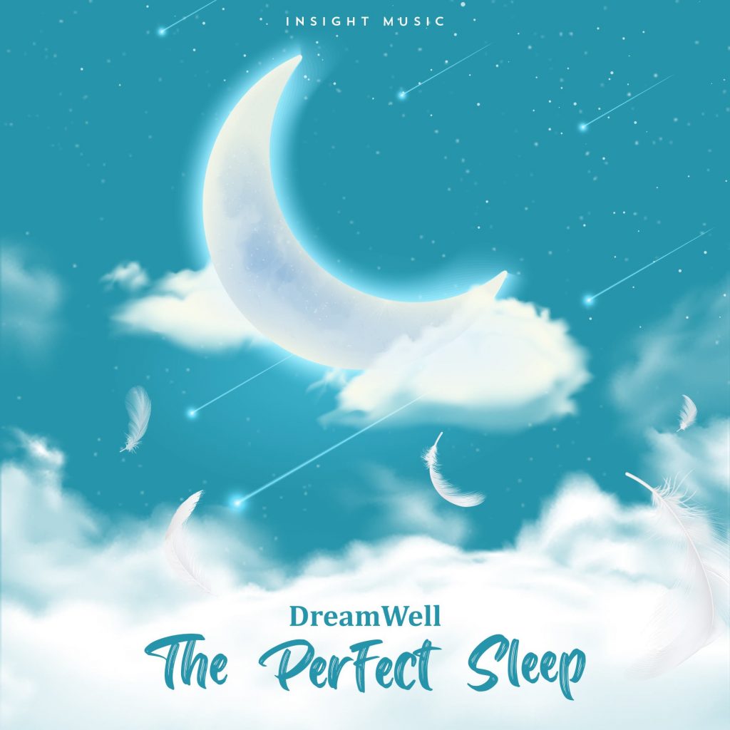 The Perfect Sleep by DreamWell