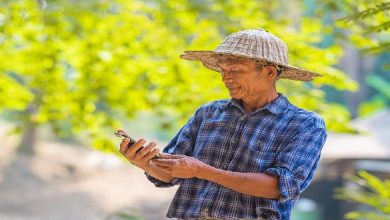 Farmer Asian with smartphone and laptop,Business and technology concept