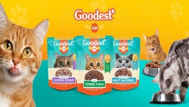 Goodest_These-new-flavors-will-leave-your-cat-meowing-for-more_photo-768x292