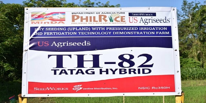 SeedWorks Philippines’ TH-82 Hybrid Rice Variety Leads the 15th NRTF