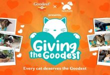 Goodest_Goodest partners with Pawplife to aid shelter groups and communities