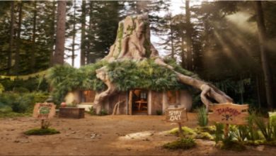 Experience Night Shrek's Swamp with Airbnb's Unique Accommodation Offer_3