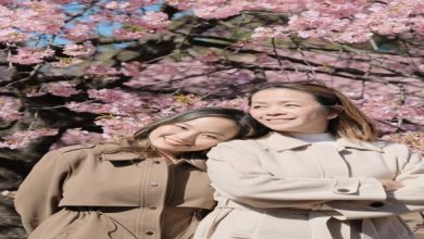 Beyond Instagram Exciting Activities to Pursue While Chasing Cherry Blossoms