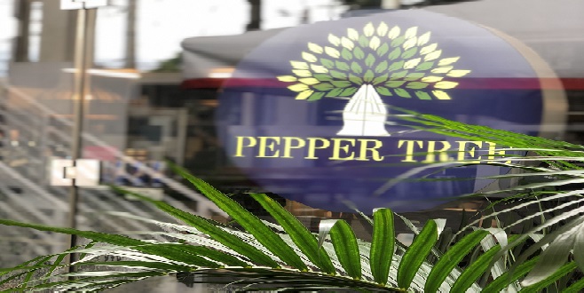 Pepper Tree