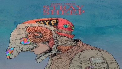 STRAY SHEEP Album Art_1