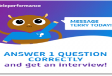 Terry Interview Bot
