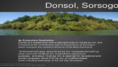 case-study-on-community-based-ecotourism-activities-in-donsol-sorsogon-seeing-ecotourism-as-a-conservation-tool-towards-sustainable-development-presentation-2-728