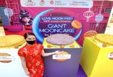 Giant-Mooncake-Display
