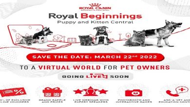 Save the Date - Royal Beginnings - Puppy and Kitten Central_1