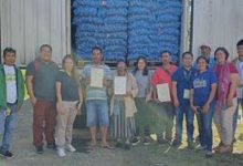 Potato Program Transforms the Lives of Farmers in Davao and Bukidnon_2
