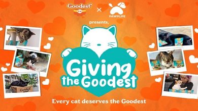 Goodest_Goodest partners with Pawplife to aid shelter groups and communities