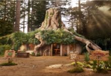 Experience Night Shrek's Swamp with Airbnb's Unique Accommodation Offer_3