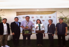 Promoting Sustainability Bellevue Manila Leads Urban Farming Initiative