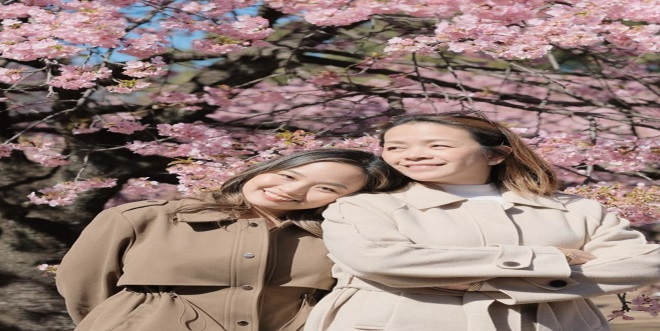 Beyond Instagram Exciting Activities to Pursue While Chasing Cherry Blossoms Beyond Instagram Exciting Activities to Pursue While Chasing Cherry Blossoms