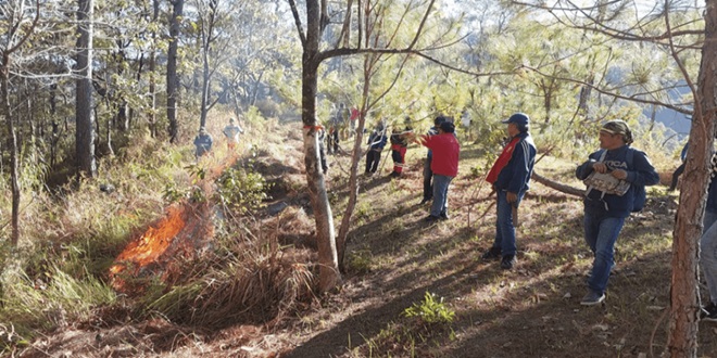 Forest Fire Training