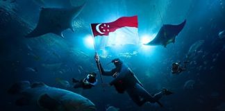 RWS Welcomes Filipino Travelers to its New Oceanarium RWS Welcomes Filipino Travelers to its New Oceanarium_1