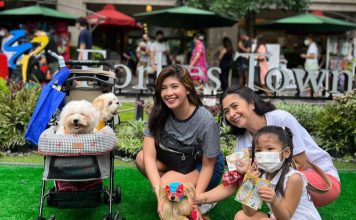 Leash Up! The Top 5 Pet-Friendly Scenic Walks in Metro Manila forbes town - pets