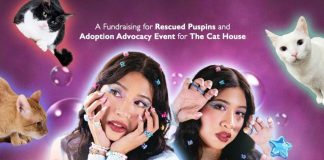 DIONE Launches Single “Kalmot” at Cat House Fundraiser DIONE Launches Single Kalmot at Cat House Fundraiser