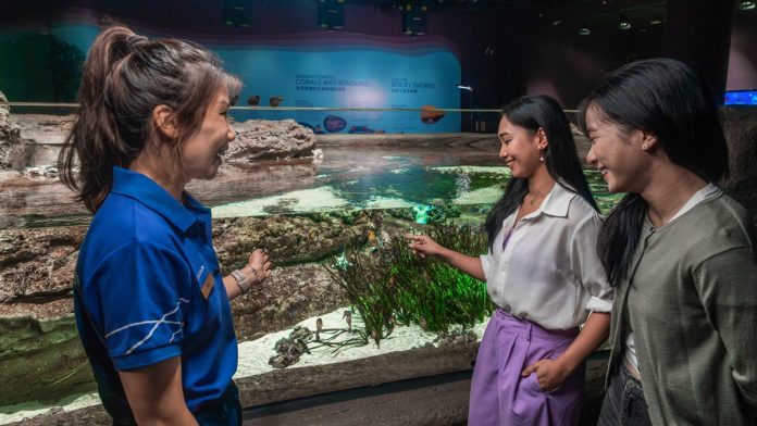 Animal Spotlight - Seahorses KV