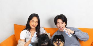 Dr. Shiba Launches Magic Mist: A Revolutionary All-in-One Hygiene Spray for Pets, People, and the Home