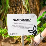 Sampaguita Farming: A Lifeline for Filipino Cultural Heritage 1 - Sampaguita Plant Marker