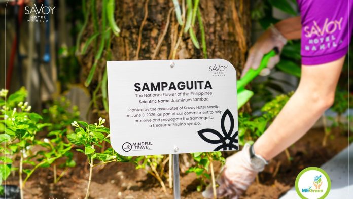 1 - Sampaguita Plant Marker