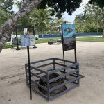 Meet the Sea Turtles: Inside the Magical Sanctuary at Dusit Thani Lubi Plantation DTLI Turtle - DTLI Turtle