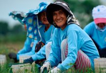New Financing Partnership Boosts Support for Local Onion Farmers JGF Photo 1