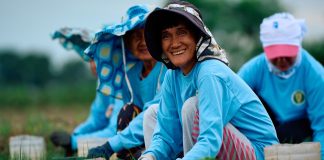 New Financing Partnership Boosts Support for Local Onion Farmers JGF Photo 1