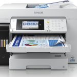 Epson Advances Education with Dependable Tech Solutions 20Cah_FJL_OP_White_01