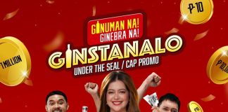 GSM GINSTANALO
