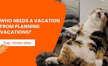 Klook Launches Worldwide Search Celebrating the ‘Designated Travel Planners’ of the Tourism Sector
