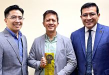 Mang Inasal Brand Strategy Filipino Consumers Mang Inasal Brand Strategy Filipino Consumers_1